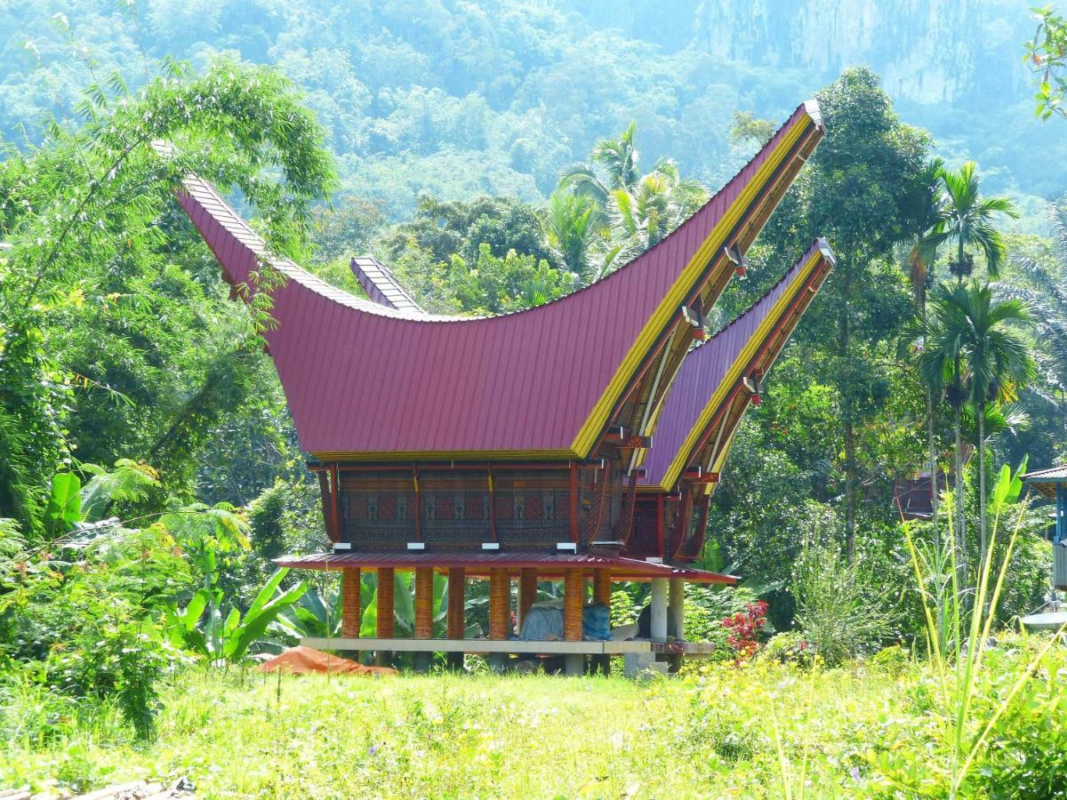 Toraja Torsina Hotel Rantepao Eksteriør bilde