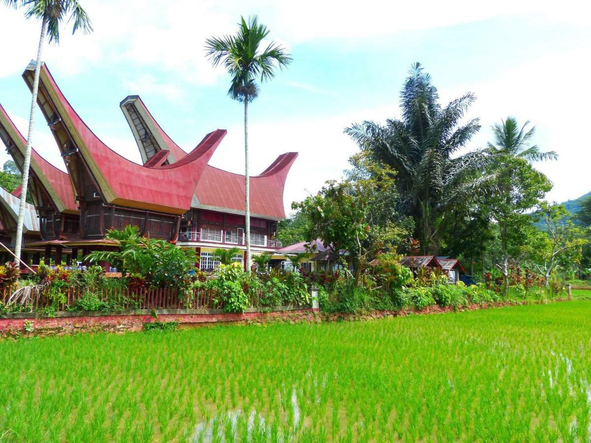 Toraja Torsina Hotel Rantepao Eksteriør bilde
